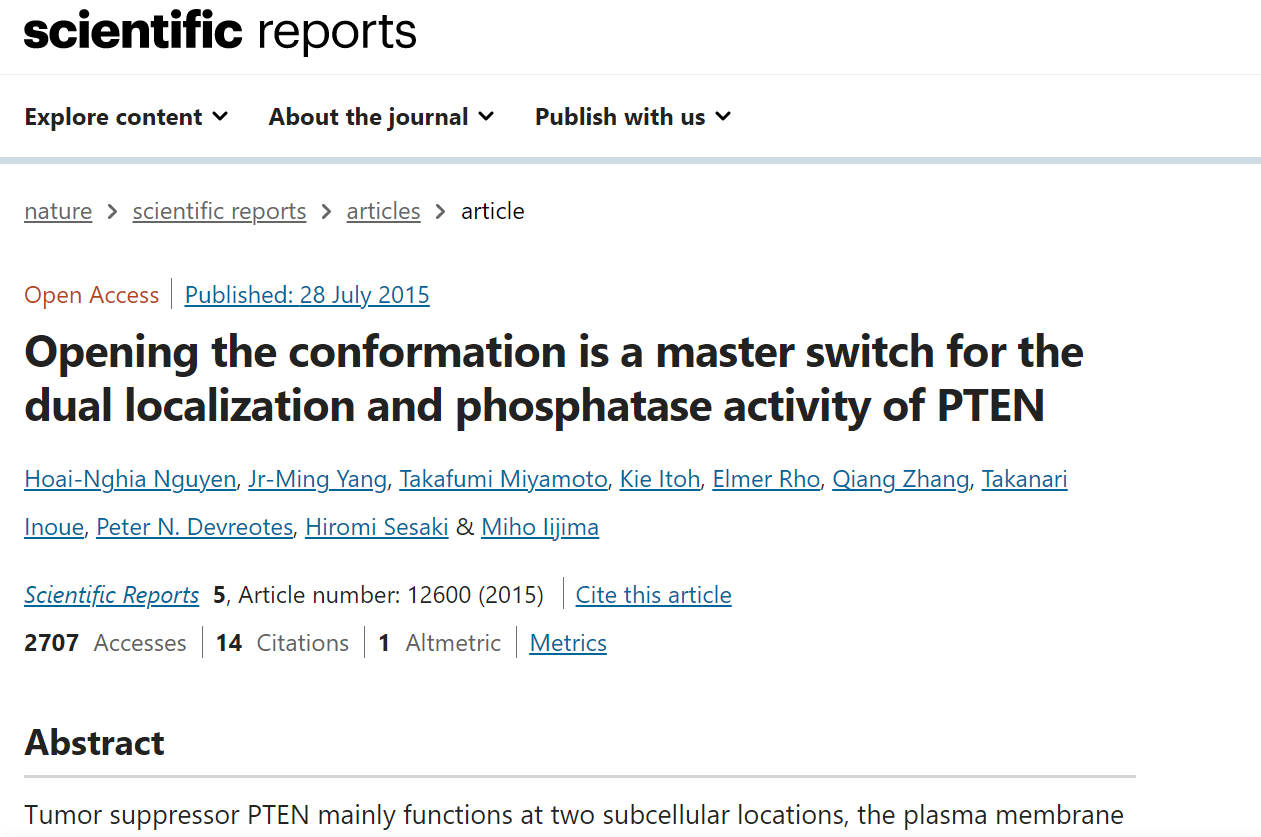 Opening the conformation is a master switch for the dual localization and phosphatase activity of PTEN
