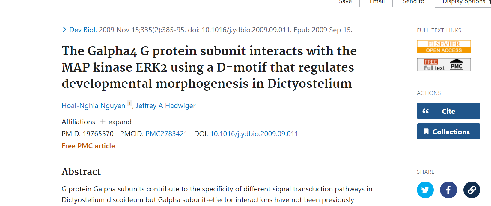 The Galpha4 G protein subunit interacts with the MAP kinase ERK2 using a D-motif that regulates developmental morphogenesis in Dictyostelium