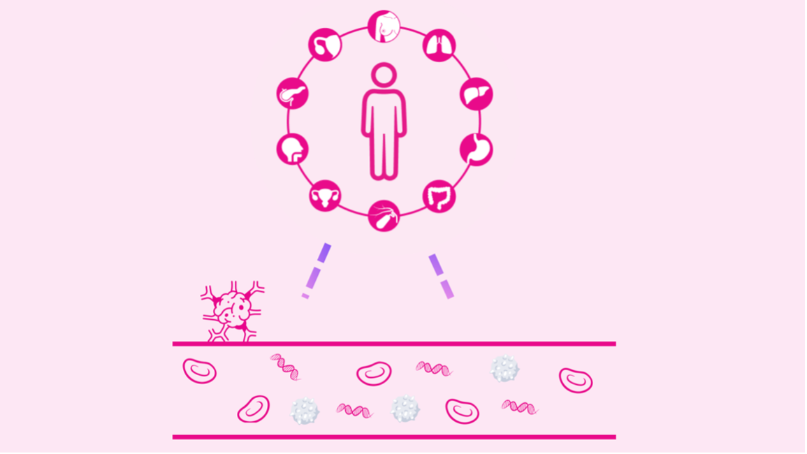 What is the MCED Test?