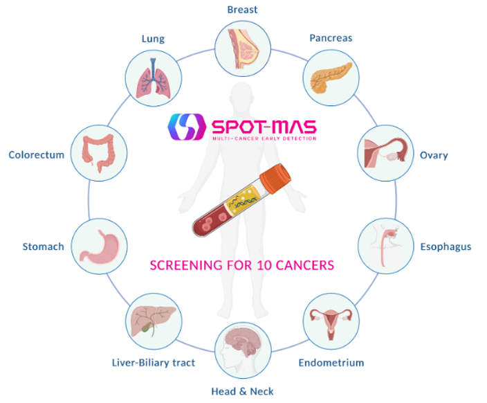 What is&nbsp;MCED&nbsp;test?&nbsp;