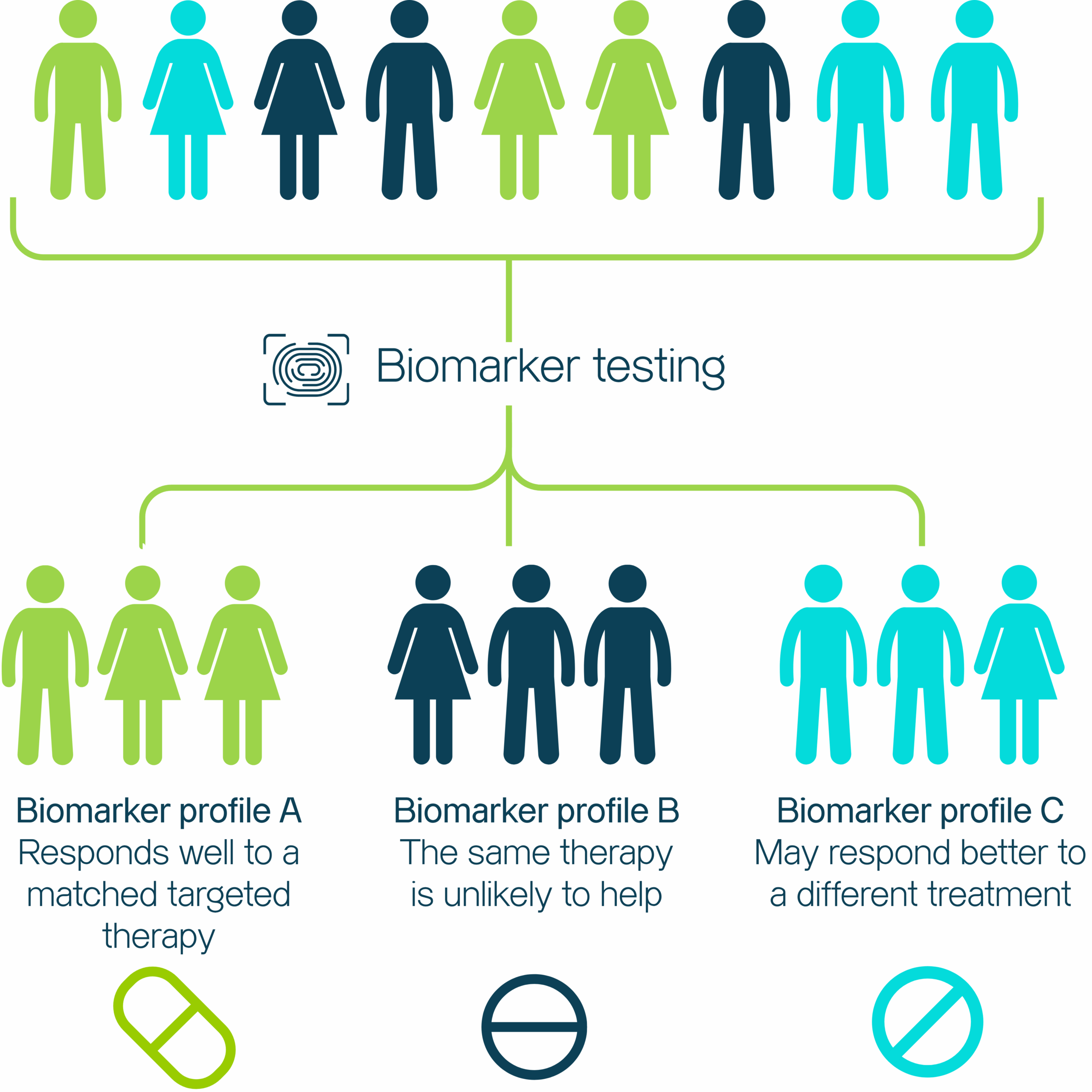 Biomarker and ctDNA Testing: A Personalized Approach to Cancer Care