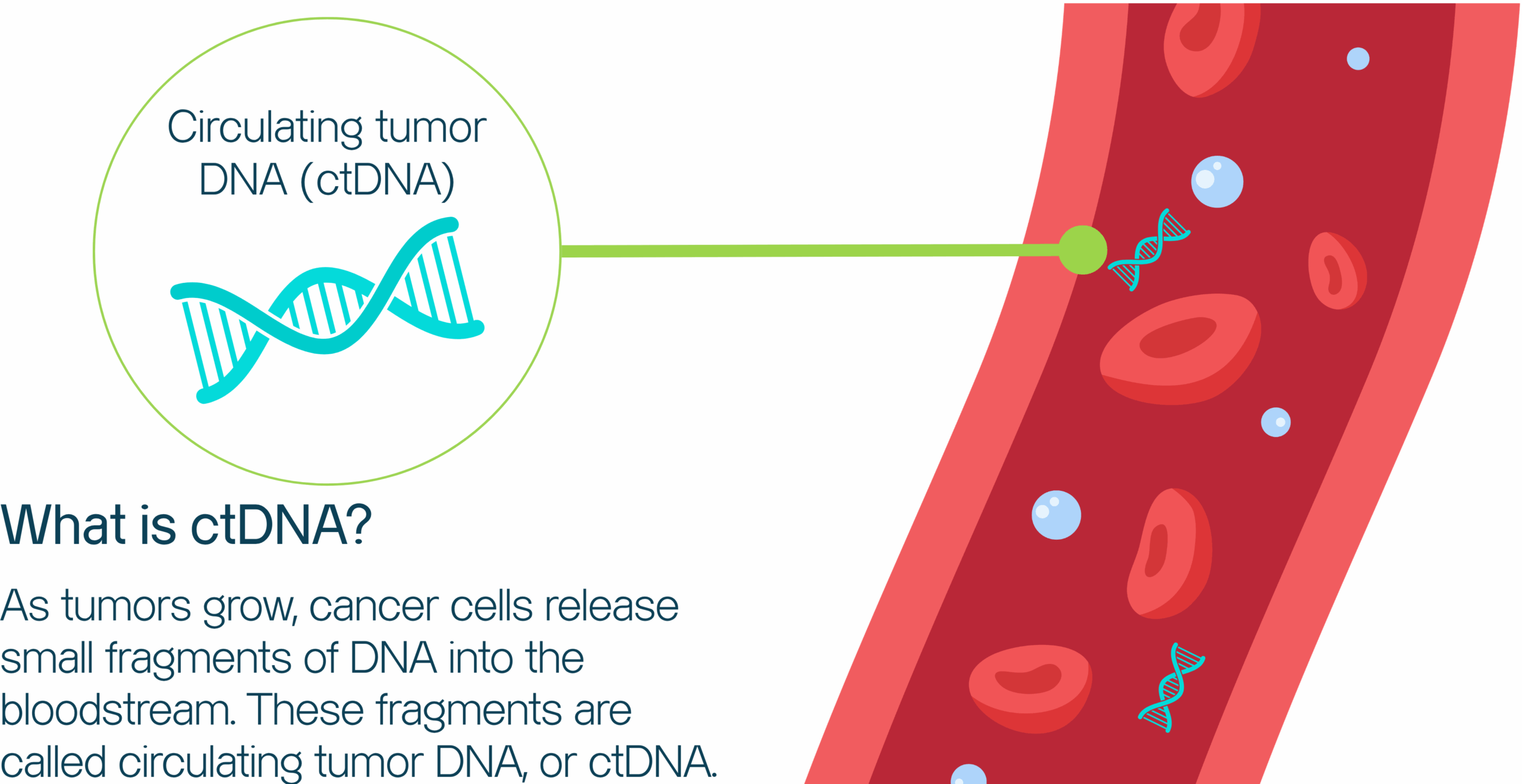 Biomarker and ctDNA Testing: A Personalized Approach to Cancer Care